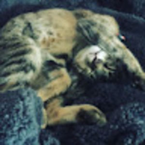 Meet your Posher, Molly